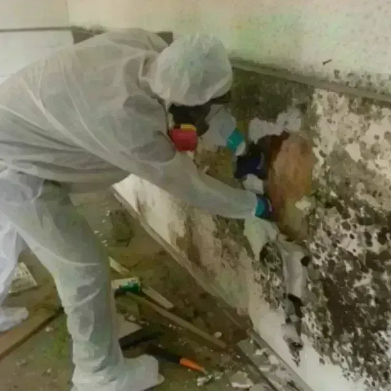 Mold Remediation and Removal in Preston City, CT